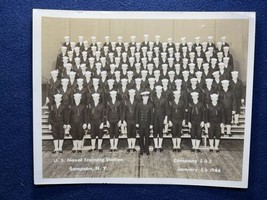 1944 US Naval Training Station Sampson NY Company 203 Graduation Photo - €17,30 EUR