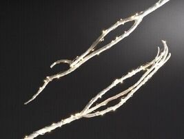 Starry Lights White LED 10 Foot Long String of Christmas Lights - $19.78