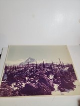 Vintage 1970s Photograph Photo Picture Color VTG Oregon 3 Sisters Mountains - £14.80 GBP