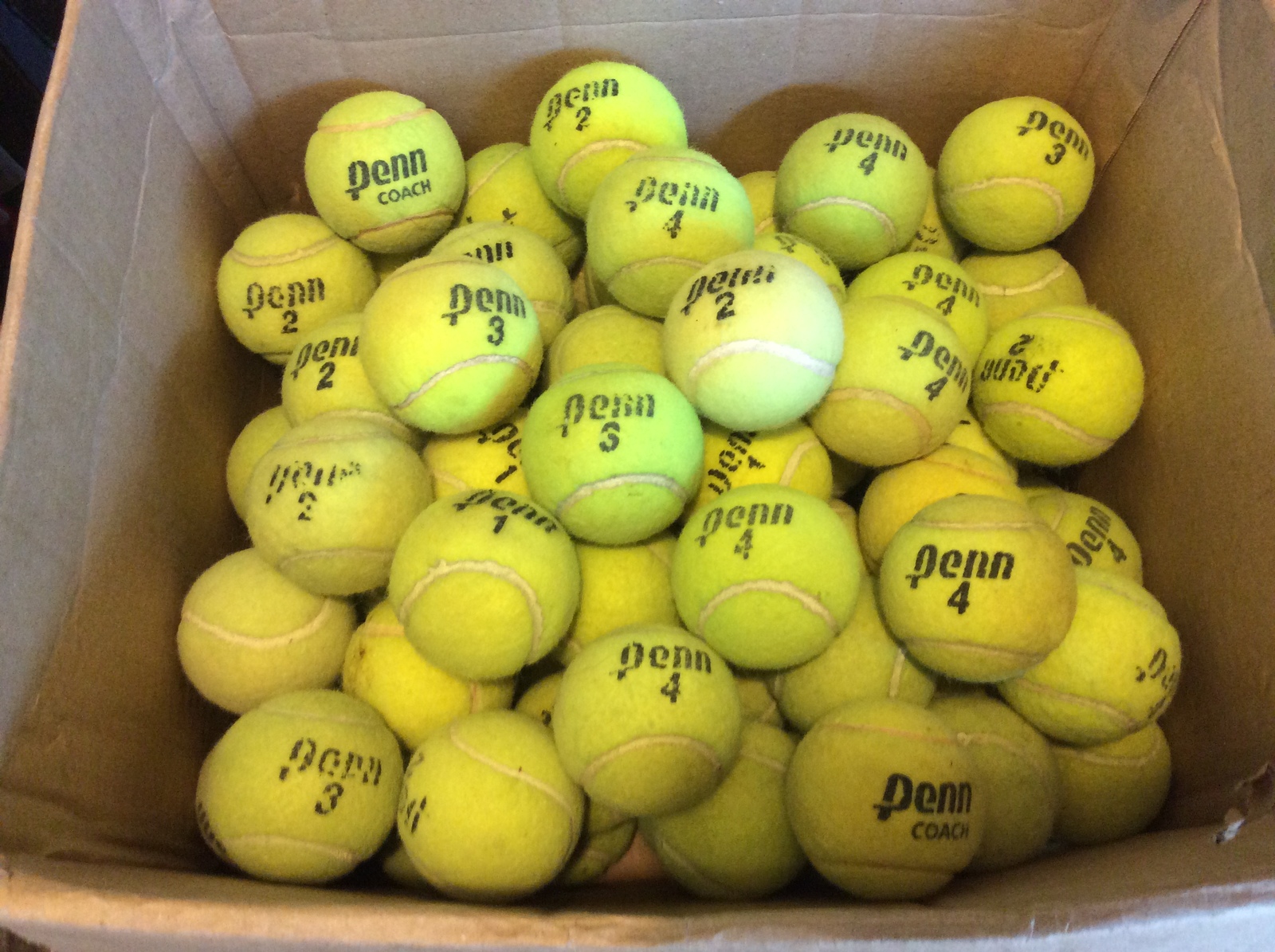 100 USED PENN TENNIS BALLS - FREE SHIPPING - ACTUAL BALLS BEING SHIPPED  - $32.88
