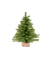 KURT ADLER 12&quot; ARTIFICIAL UN-LIT CANADIAN PINE MINI CHRISTMAS TREE TR0048 - £14.85 GBP