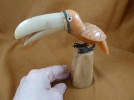 (y-bir-to-410) little orange Toucan tropical bird soapstone figurine tou... - £38.71 GBP
