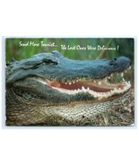 Vintage Gator Send More Tourist Humor Funny Postcard - €6,01 EUR
