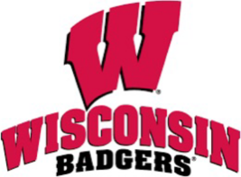 f NN Wisconsin Badgers College  Mascot Logo Poster 12x8in Metal Sign NCA... - $24.74