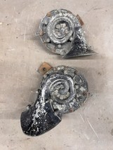1959 1960 Chevy Impala BelAir Biscayne Horns Hi Lo Oldsmobile 88 98 Buic... - $2,332.70 MXN