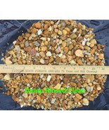 1/2lb Natural Stones and Pea Gravel for Bonsai Terrarium Succulent Air P... - £2.56 GBP