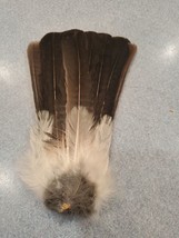 Eurasian Blue Jay Bird Full Tail Feathers JB26 - £11.66 GBP