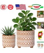 Hand-Painted Terracotta Planters, 4 &amp; 6 Inch, Stable Base for Stylish In... - $886.04 MXN
