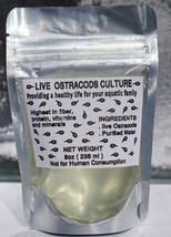 25+ Live Seeds Shrimp Ostracod Feeders Bred Tank Cleaners live fish food Startin - £15.89 GBP