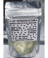25+ Live Seeds Shrimp Ostracod Feeders Bred Tank Cleaners live fish food... - £15.68 GBP