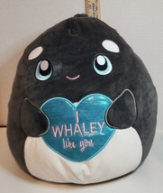 12” Squishmallow Kai the Killer Whale I Whaley Like You - £9.84 GBP