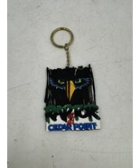 Vintage Raptor Rules the Sky Cedar Point Keychain Rollercoaster  Souvenir - $14.74