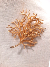 Castlecliff Lg Vintage Designer Brooch Bare Tree Or Coral ? - Gold Metal Signed - £33.43 GBP