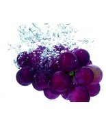 Grapeseed Oil 1 oz PURE Raw Organic Cold Pressed Carrier Oil Hair &amp; Skin... - €8,11 EUR