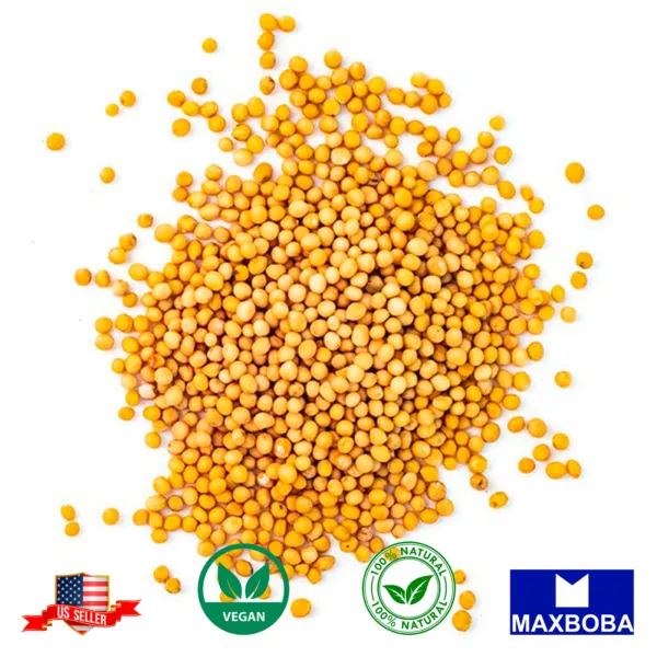 Yellow Mustard Seeds Whole Raw 100% Pure Natural Indian Spice Garden - £8.24 GBP