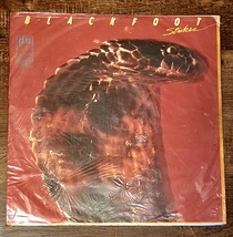 Blackfoot – Strikes (Rare Taiwan Press) JJ Record JJB-6069 VG+/VG+ LP - $98.99