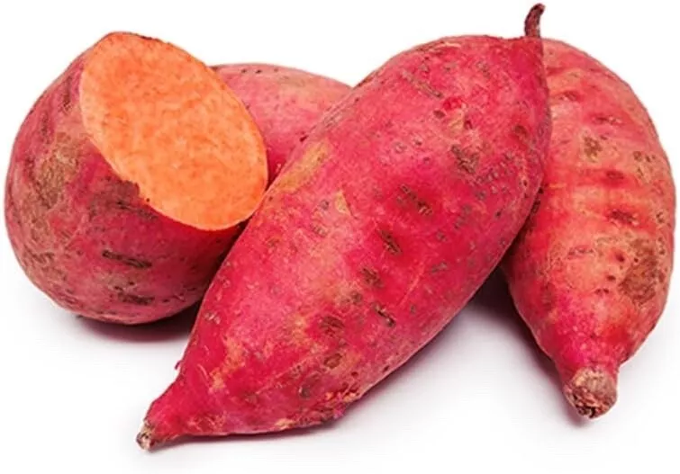 Red Garnet Sweet Potato Slips (6) USA Seller  - $38.99