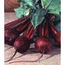 Beet Detroit Dark Red Great Heirloom Vegetable By Seed Kingdom 10000 Seeds Fresh - £26.58 GBP