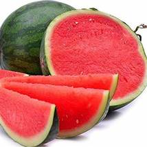  &#39;Seedless Kylin&#39; Series Seedless Watermelon, 5 Bags (50 Seeds / Bag) D - £16.26 GBP