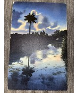 Lone Sentinel In The Everglades Of Florida BY MANLEY BROWER Postcard Pal... - $7.99