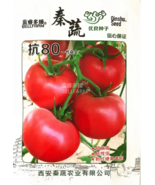SEED Red Big Tomato Hybrid F1 - £23.89 GBP