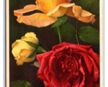 Thor Gyger Floral Fleur Roses Artiste Signé Unp Wb Carte Postale Z7 - $3.36