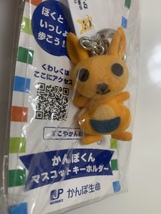 Kanpo-kun keychain kangaroo character - $23.88