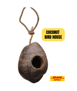 Eco Coconut Shell Birdhouse – Rustic Outdoor Bird Shelter - $57.19