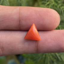 Natural Coral Gemstone, Coral Cabochon, Triangle Coral, Jewelry Making G... - $14.00