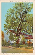 Fredericksburg Virginia ~ Last Brown Tree Plants by Geo Washington-
show orig... - £7.62 GBP
