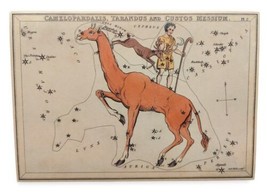 Urania&#39;s Mirror A View of The Heavens Camelopardalis Constellation Astronomy - £22.83 GBP