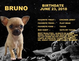 CUSTOMIZED HAPPY B-DAY PET DOG CAT HORSE FROG FAMILY MEMBER PHOTO PRINT ... - $4.95+