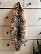 tanned fluffy badger pelt taxidermy vintage fur feet claws skin - $250.00