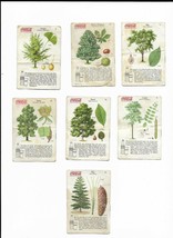 1930s Coca-Cola “The World of Nature” Trade Cards Trees &amp; Plants set of 7 - £11.98 GBP