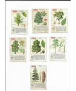 1930s Coca-Cola “The World of Nature” Trade Cards Trees &amp; Plants set of 7 - $14.99