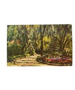 Postcard Beautiful Hydrangeas Framed With Spanish Moss Chrome Unposted - $6.83 CAD