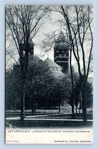 Università Di Michigan Biblioteca Ann Arbor Mi Raphael Cibo Unp Udb Postcard P13 - $10.19