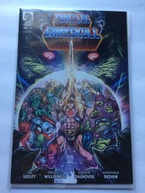 2024 Dark Horse Comics Turtles of Grayskull #2 - $12.97