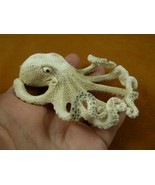 octo-w53 large Octopus of shed ANTLER figurine Bali detailed I love octopi - $372.11 CAD