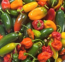 Hot Pepper Mix | Organic Seeds FRESH - $23.46