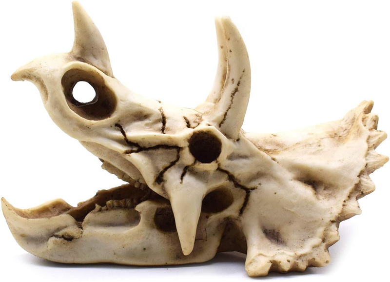 Resin Dinosaur Skeleton Triceratops Imitation Skull Model Home Office Display D Item image 4