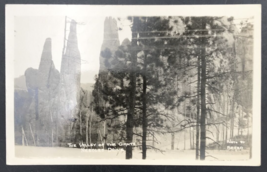 VTG RPPC The Valley Of The Giants Needles Drive Polk County Oregon OR Postcard - £9.53 GBP