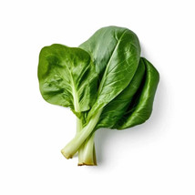 500 Choy sum Cabbage Seeds for Garden Planting - $8.19