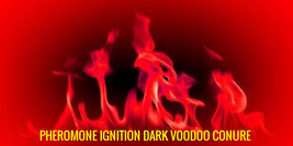 Pheromone Ignition Dark Voodoo Conure - Haunted - £47.10 GBP
