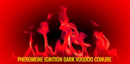 PHEROMONE IGNITION DARK VOODOO CONURE - haunted  - $59.00