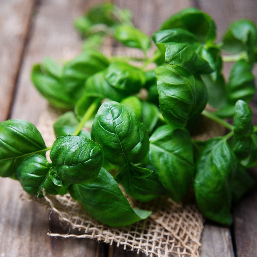 Sweet (Common) Basil Seeds, make just about any dish taste delicious 20 seeds