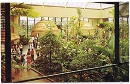 Pennsylvania Postcard Hershey&#39;s Chocolate World Tropical Plants - £2.85 GBP