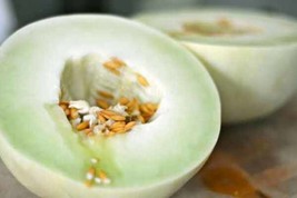 SuGard 25 of Green Flesh Honeydew Melon Seeds(Cucumis melo)Sweet Juicy Fruit Mel - £1.90 GBP