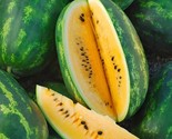 SRN Yellow Sweet Gem Watermelon Seeds Garden - $11.26
