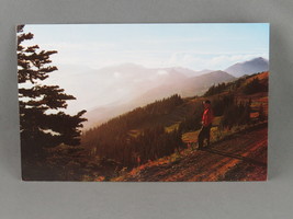 Vintage Postcard - Lillian River Canyon Olympic National Park - National Park  - £11.78 GBP